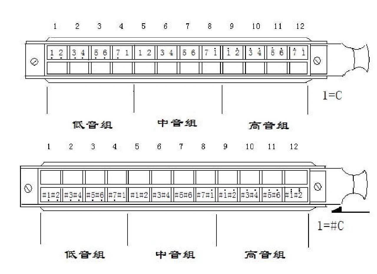 友友们12孔的半音阶口琴音阶图,希望能对初学的友友