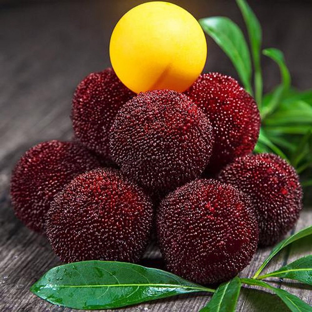 像乒乓球一样大的东魁杨梅它又来啦! 预售!