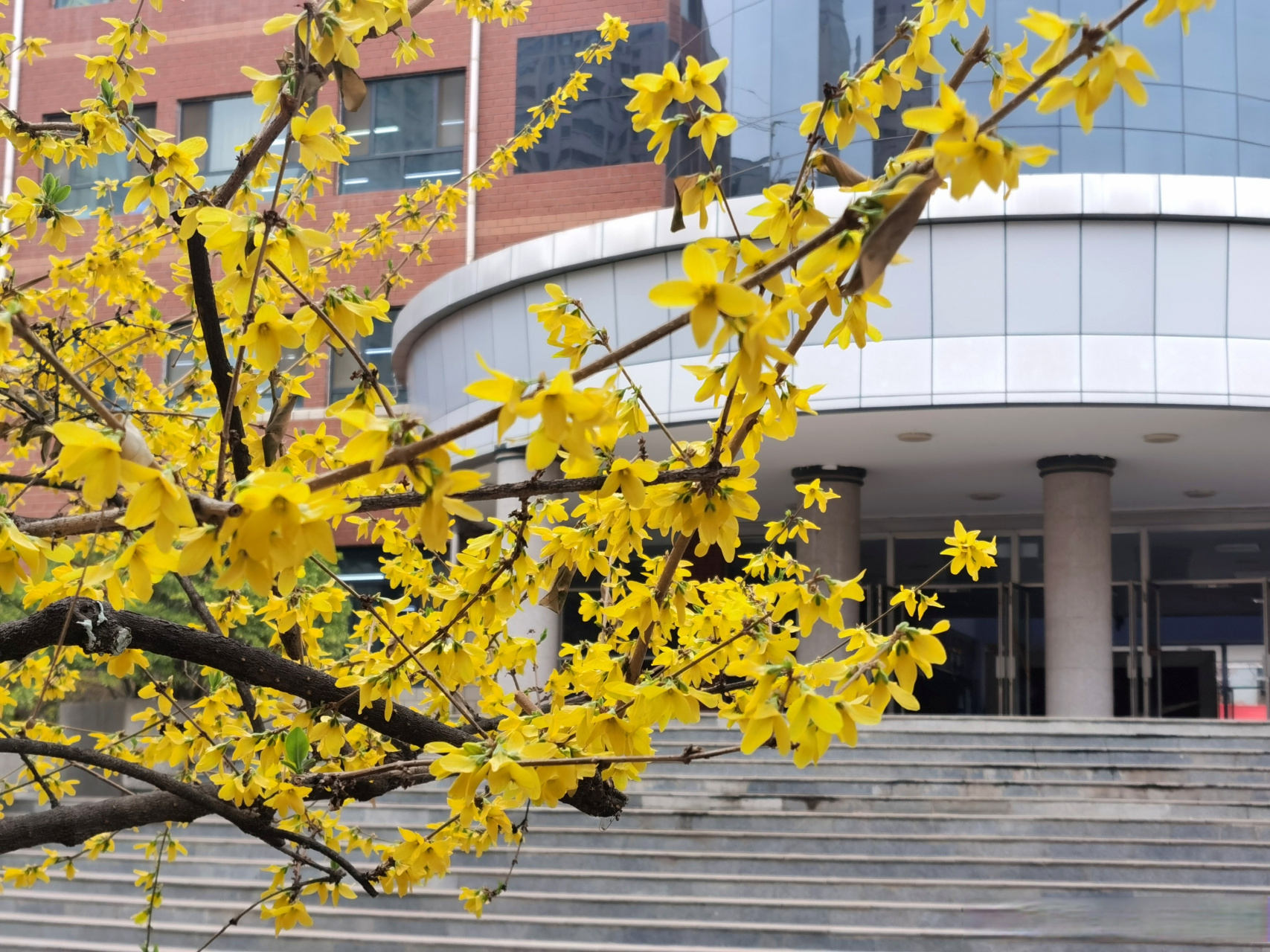 请把阳光穿在心上,让泉水泻在心底.早安,西师附中