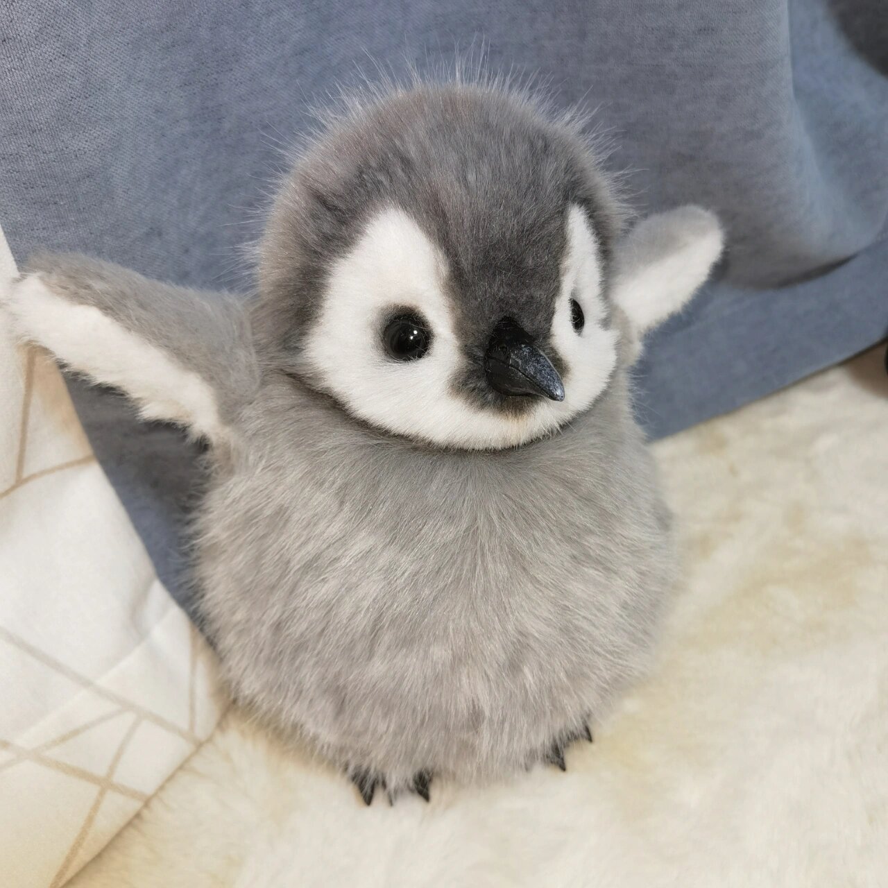 怎么会有这么可爱的帝企鹅宝宝 展示一些毛头小宝的预备起飞动作这样