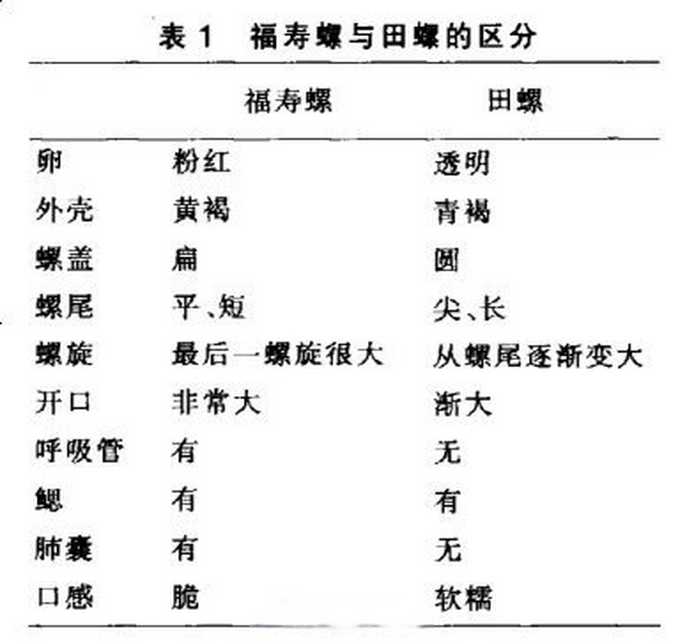 福寿螺与田螺区别图片