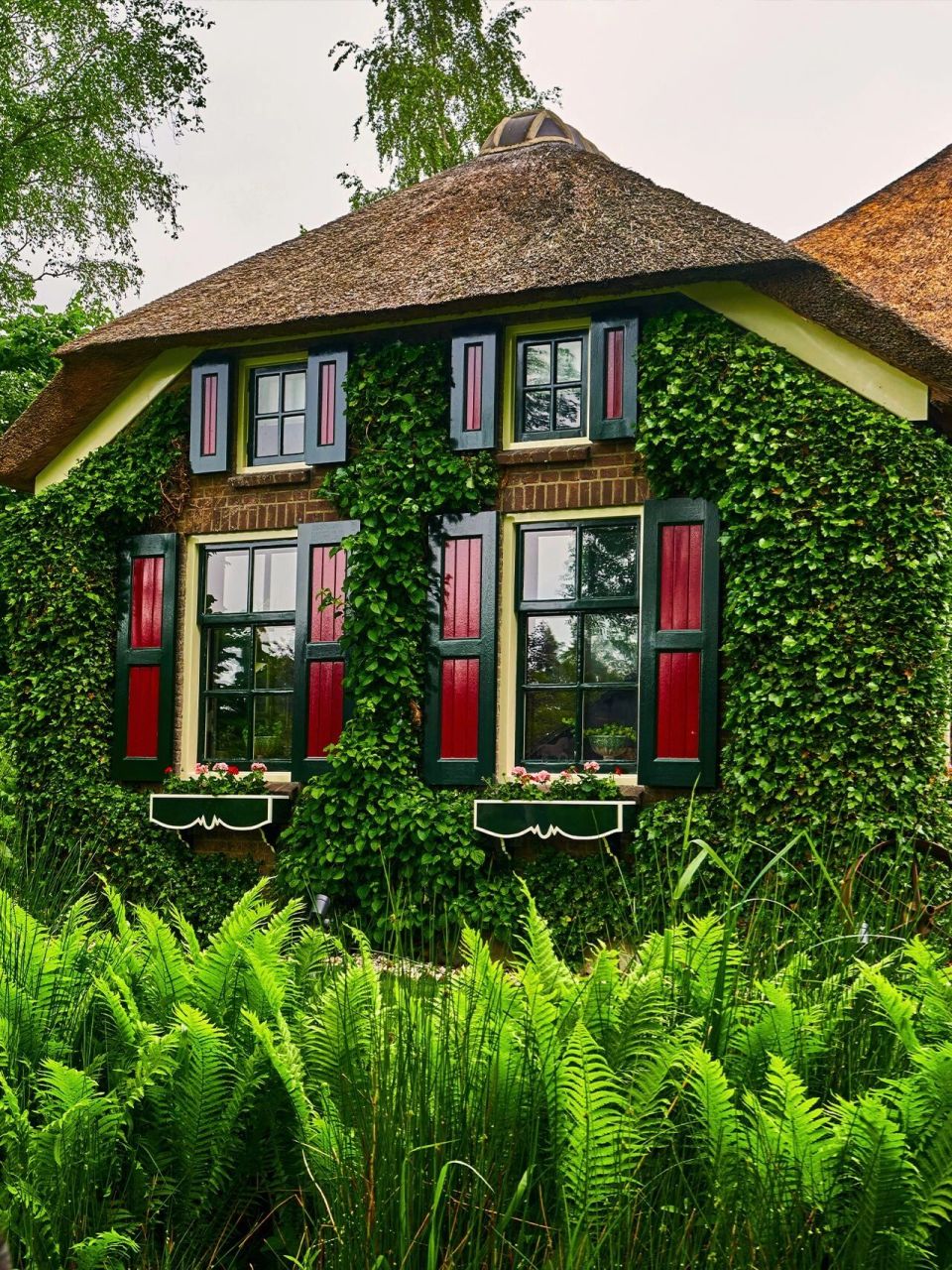 荷兰羊角村|这里不是童话是真实世界 9997giethoorn意为"羊角"