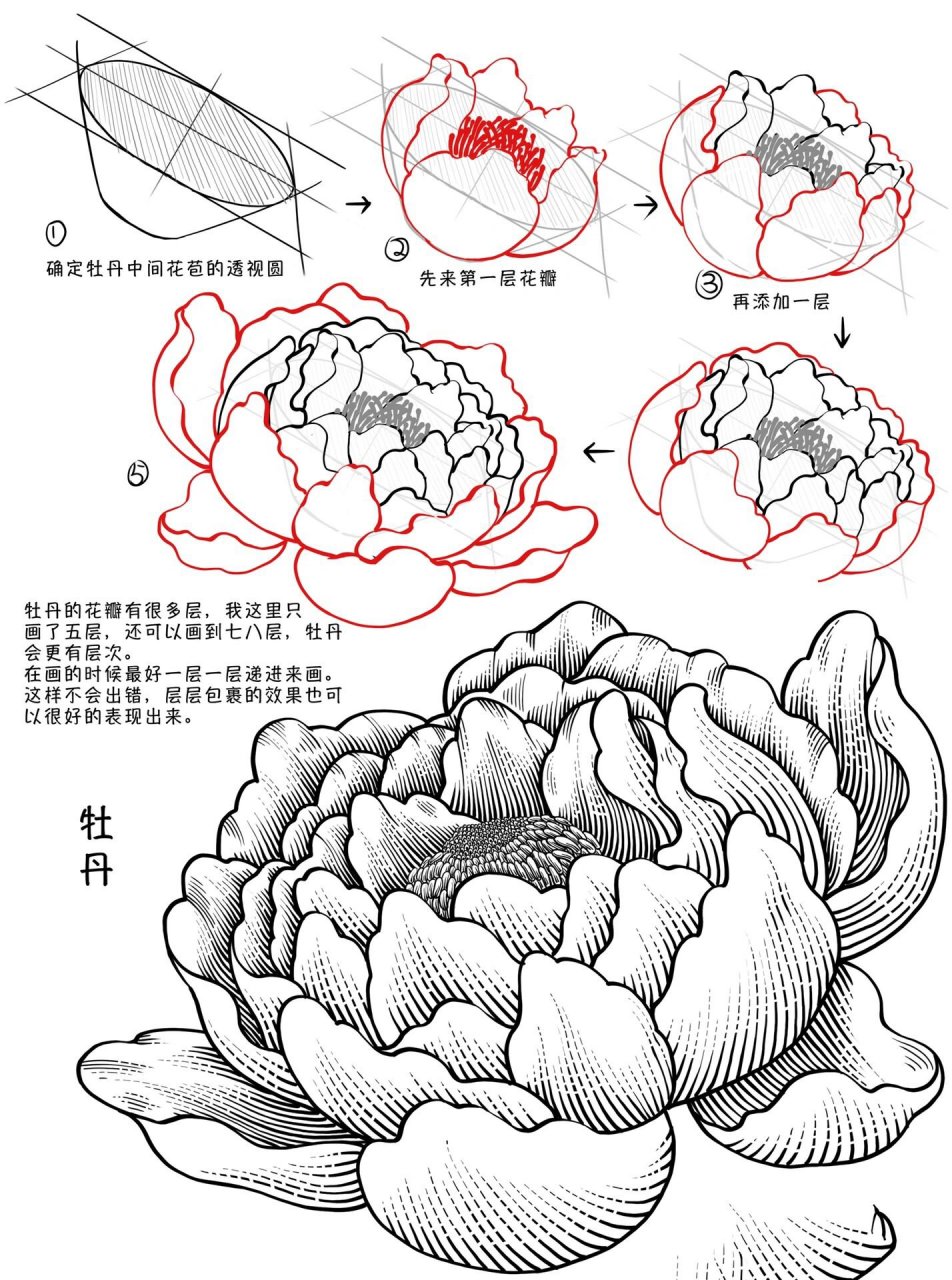 法国国花简笔画图片