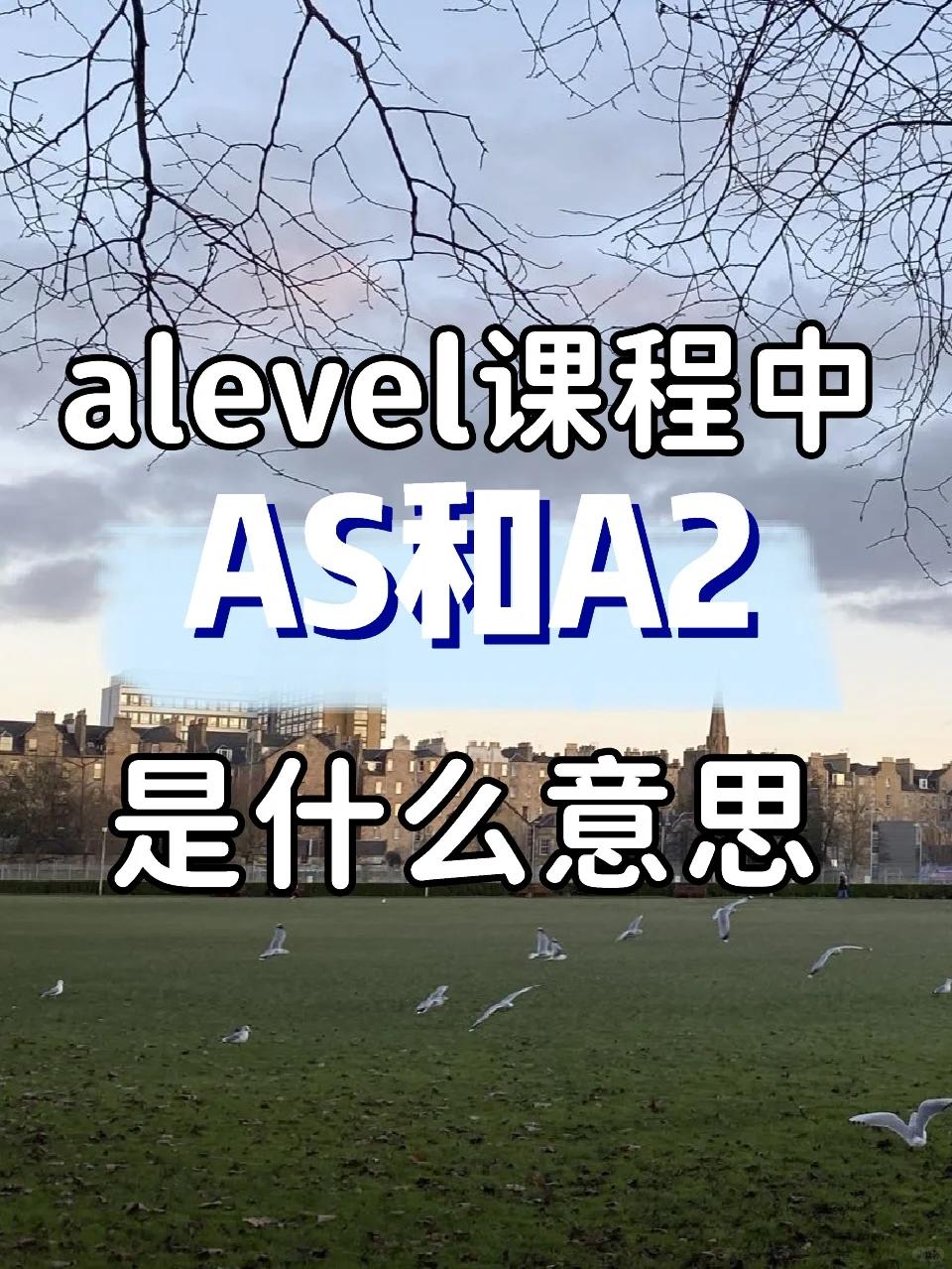 a2的意思(a2是什么类型的车)