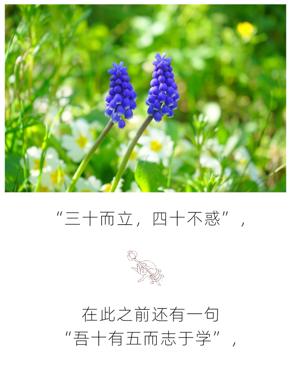 三十而立,四十不惑 #禅悟人生