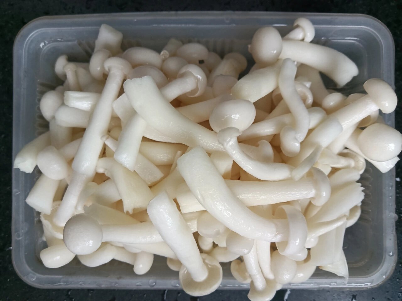 双菇荟萃烩海参,一道鲜上加鲜的美味佳肴 菌菇味道鲜美,营养丰富,越来