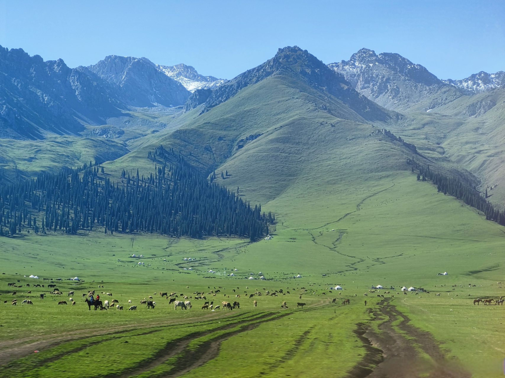 99跟着974行游大美新疆99 海拔2000米的空中草原那拉提 毡房内