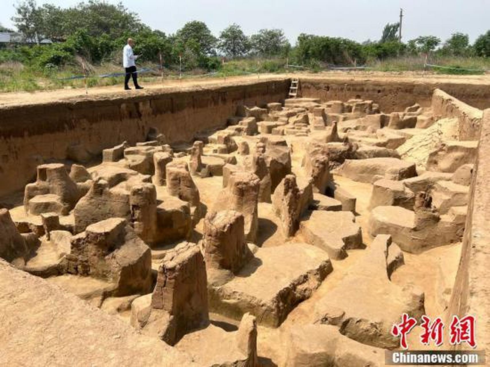 【探访裴李岗遗址考古发掘现场】5月12日,中新网记者跟随"行走河南