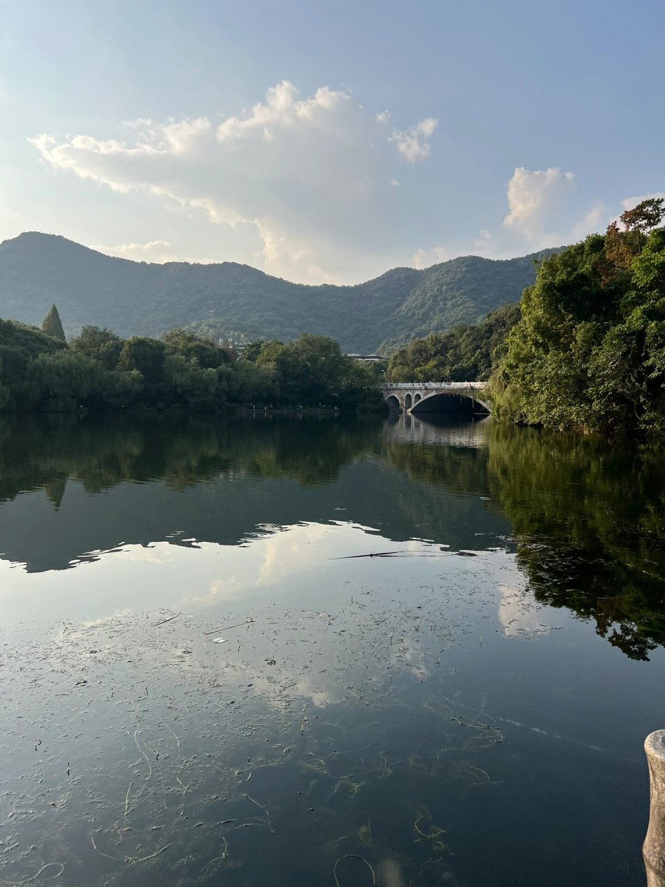 杭州遛娃之半山虎山公园 导航虎山水库,可以捞鱼,玩水枪,带上防蚊喷雾