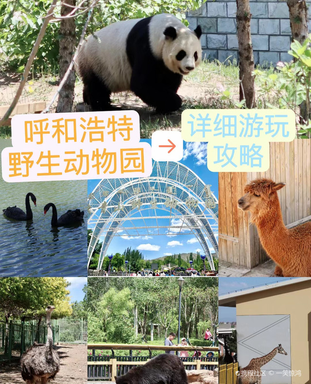 注意!夏天想去内蒙最大动物园的都看过来_大青山野生动物园攻略