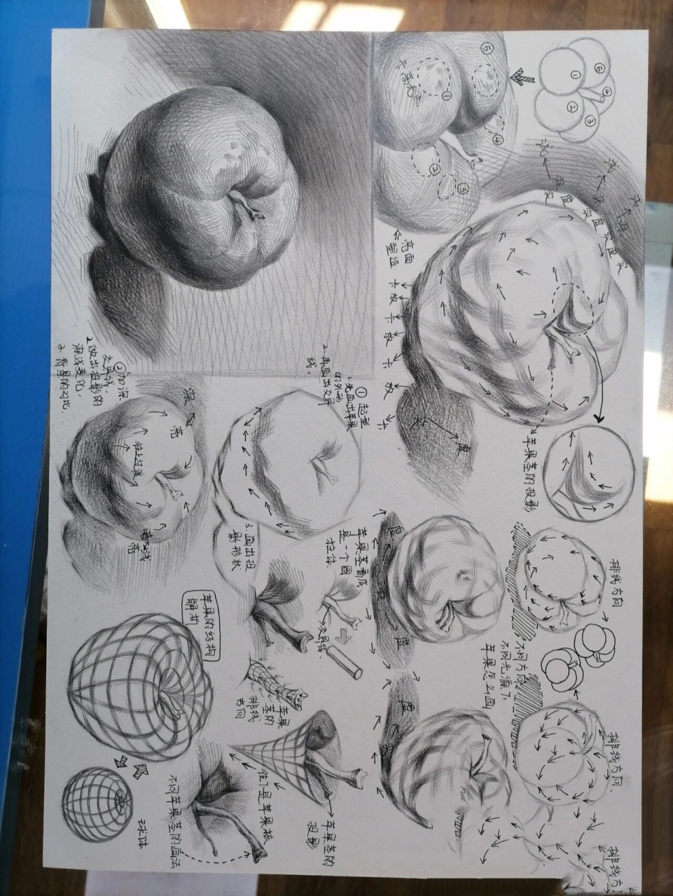 静物系列~苹果梨子素描