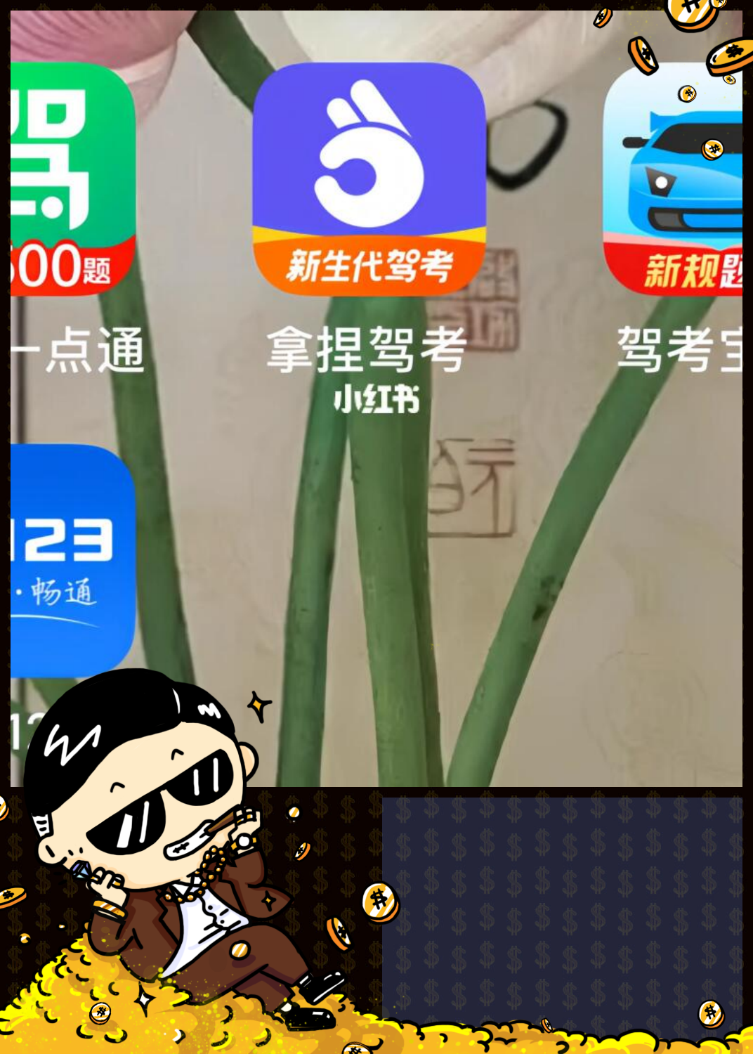 我都试了一下,感觉驾考宝典,元贝驾考,驾校一点通这 3 个都还不错