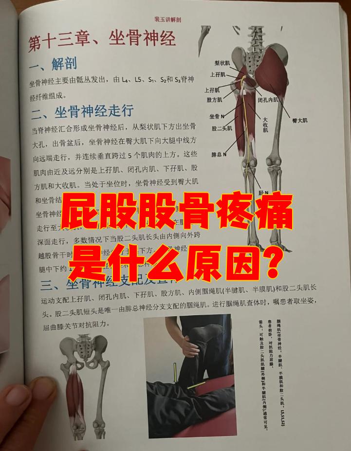 屁股为什么痛