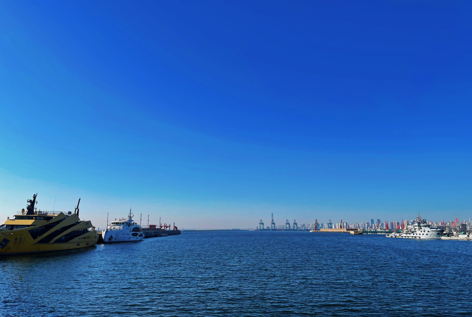 秦皇岛西港花园 | 本地人的宝藏花园9015 2023年的第一天7715