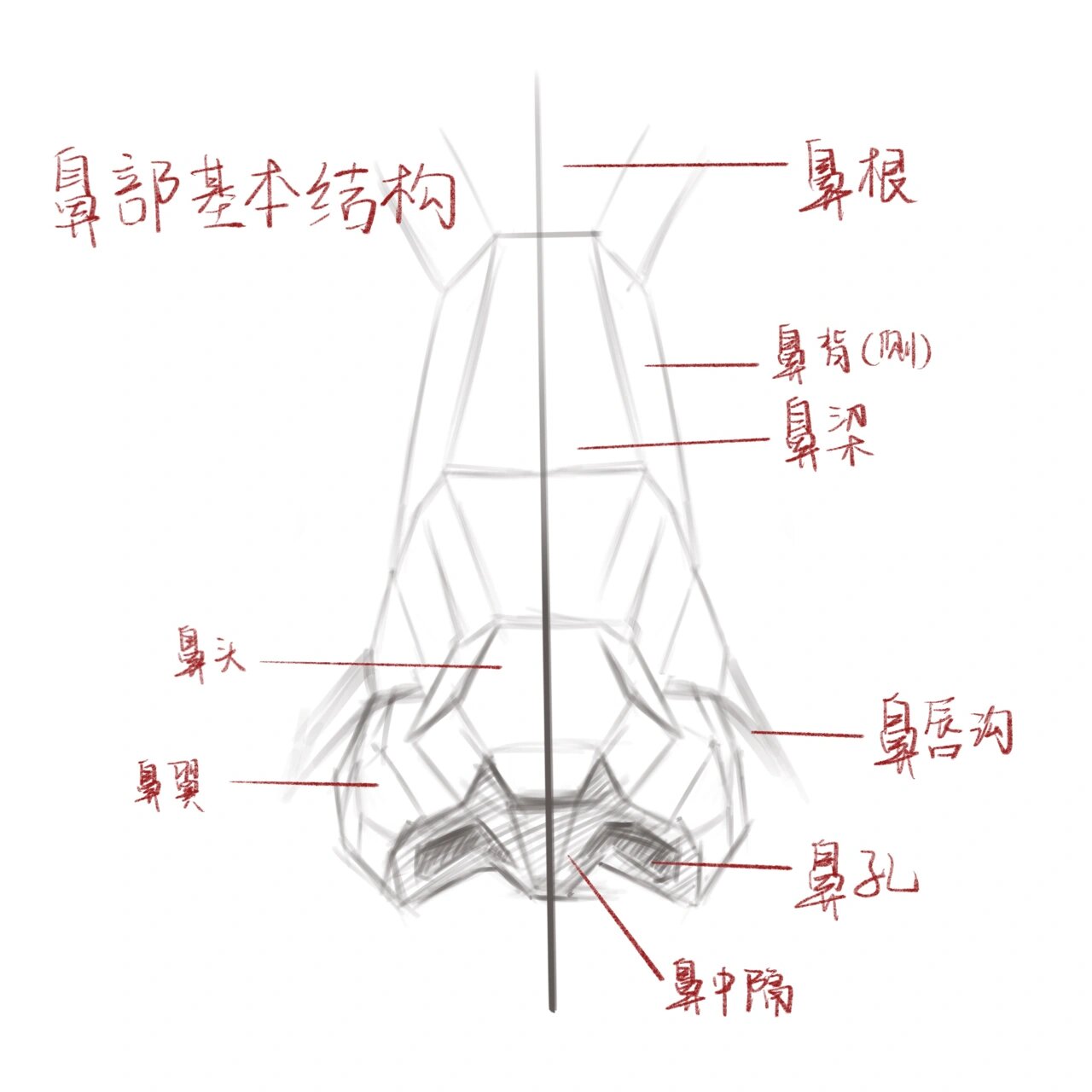 亲妈级画鼻子教程 超详细