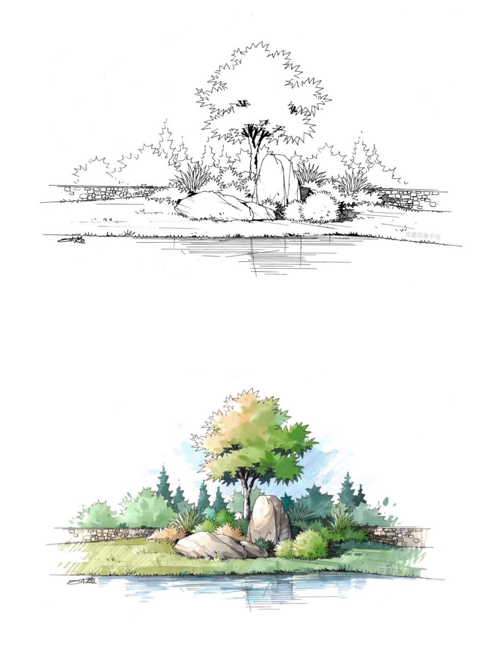 景观植物,山石,水组合手绘 组合小景注意各元素之间的高低大小.