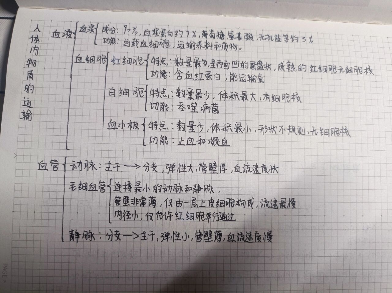 人体内物质的运输思维导图