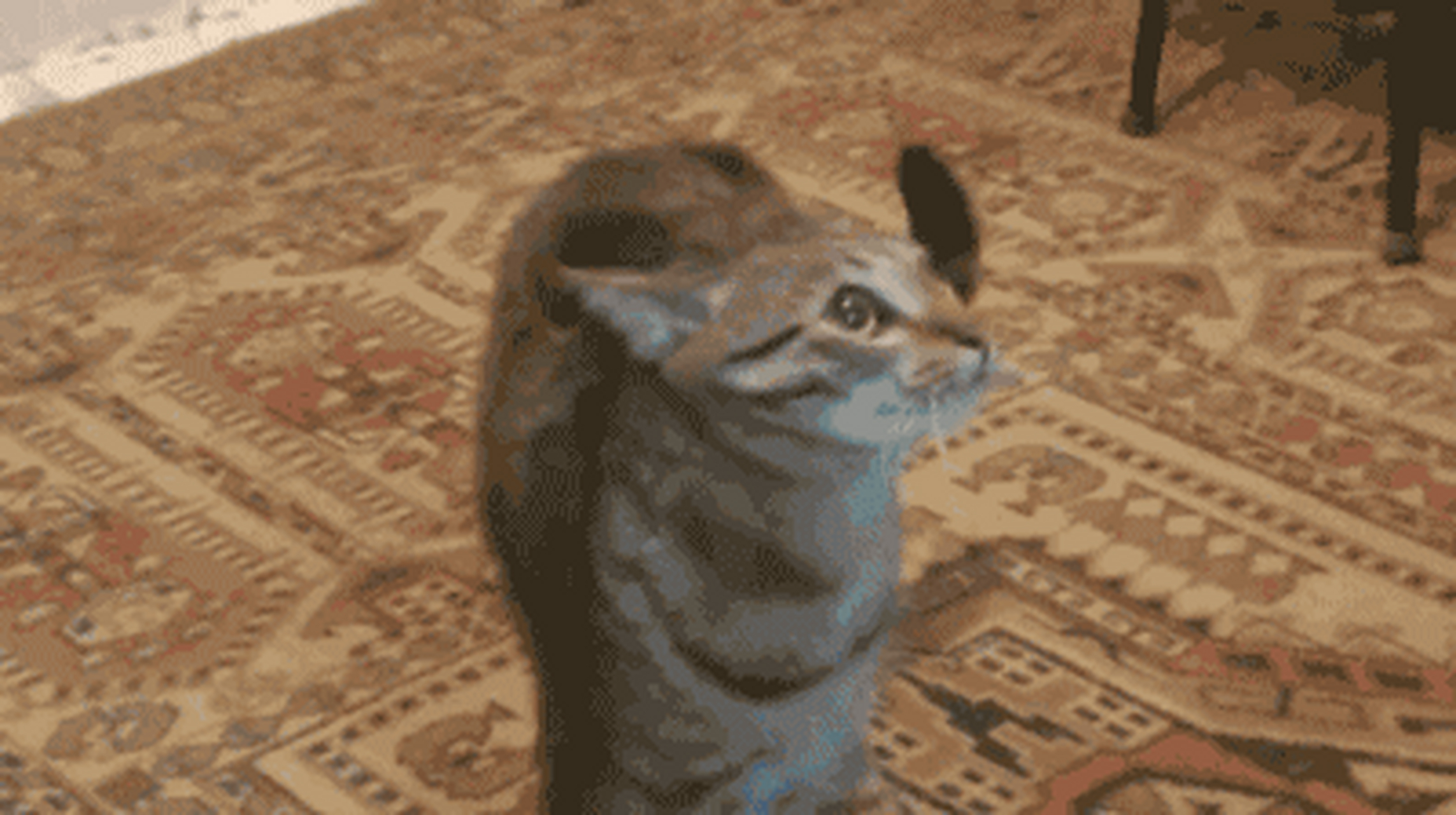 一些沙雕倒放图