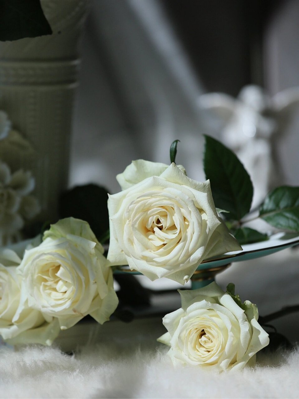 鲜花分享/南诏公主单头玫瑰 大头大头下雨不愁 是我心动的大头 喜欢白