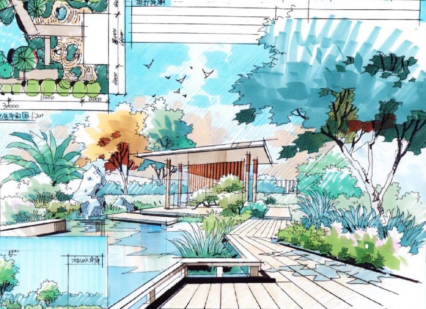 亭廊组合景观手绘表达(爆款) 本期以亭廊组合作为主题.