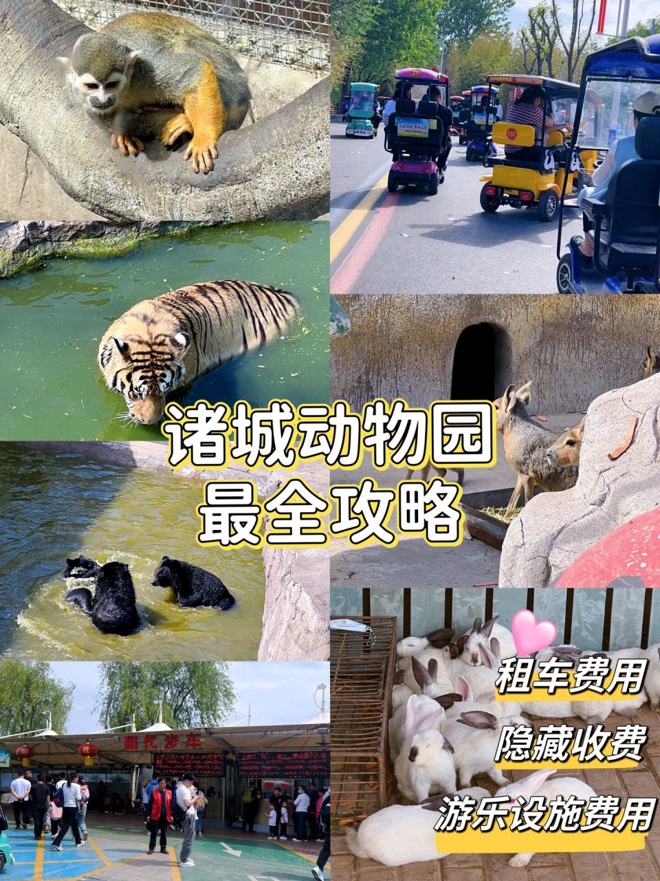 潍坊周边游——诸城动物园 939103诸城动物园929502 营业