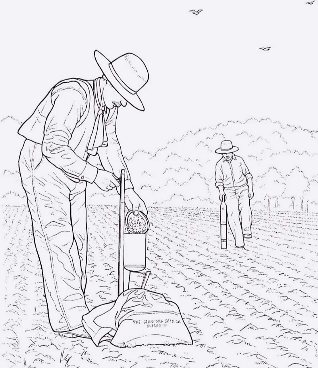 农民老了,最担心的就是谁来继承自己的辛勤劳动.