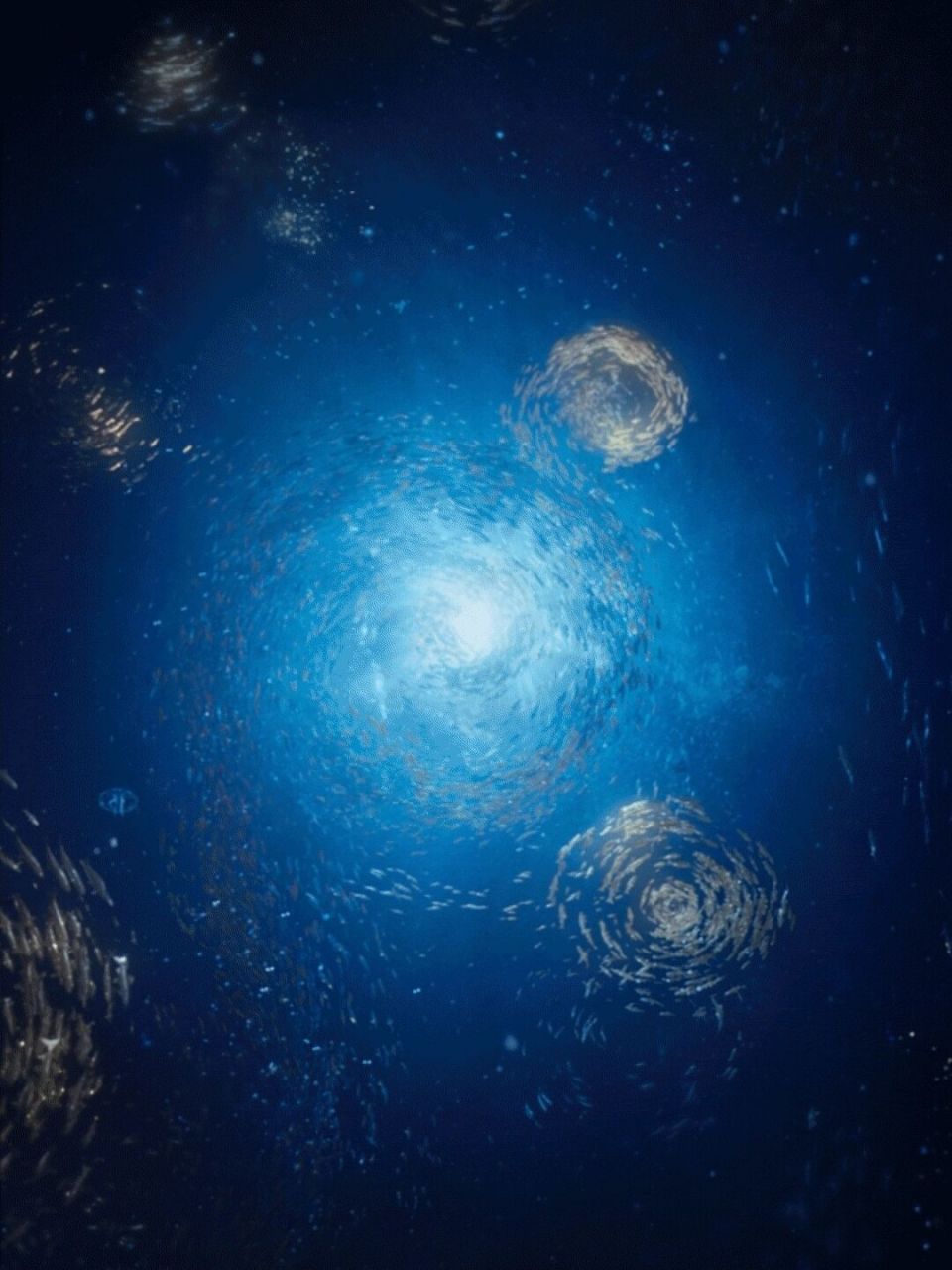 《消失的她》电影壁纸 求海底星空91壁纸实况图呀