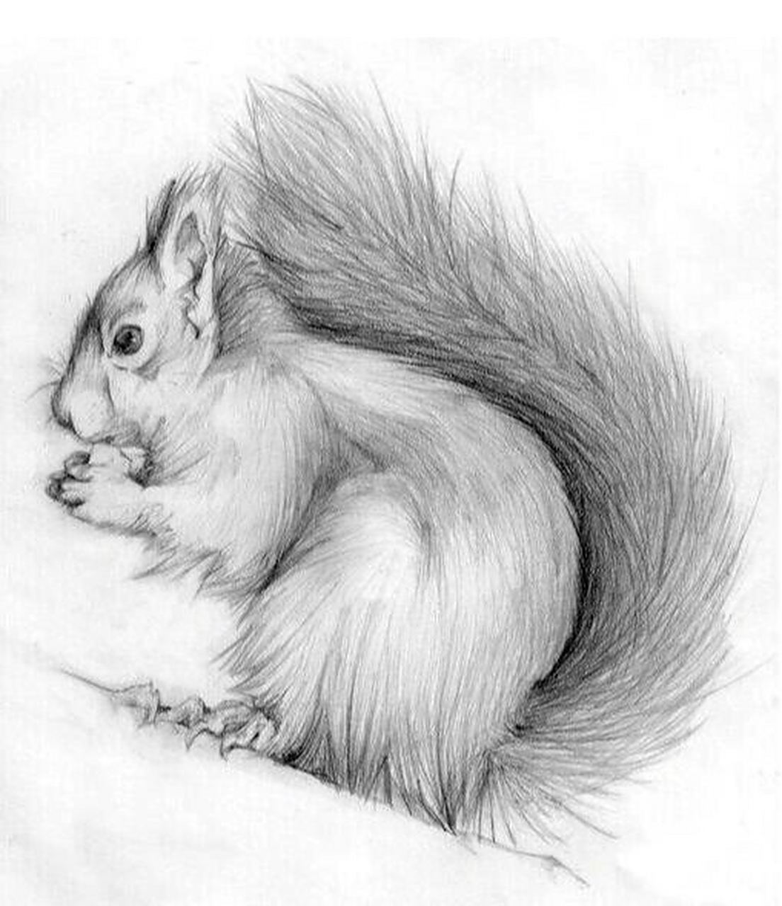 涨知识:简单认识少儿素描 今天小画给大家简单介绍一下少儿素描～ (一