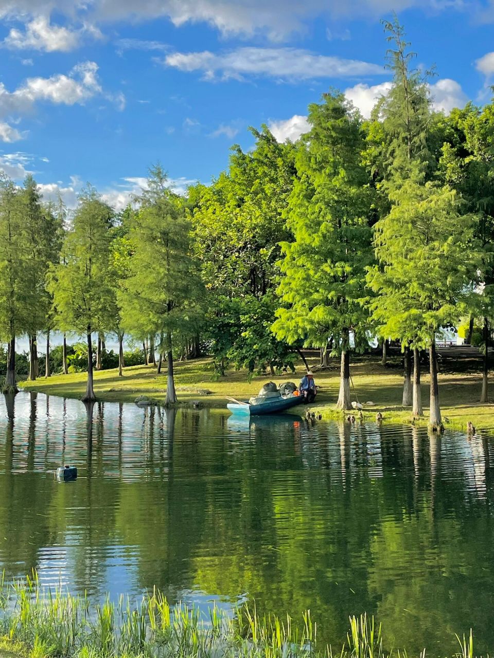 白云湖|广州这个小众公园真的很漂亮～ 99白云湖公园