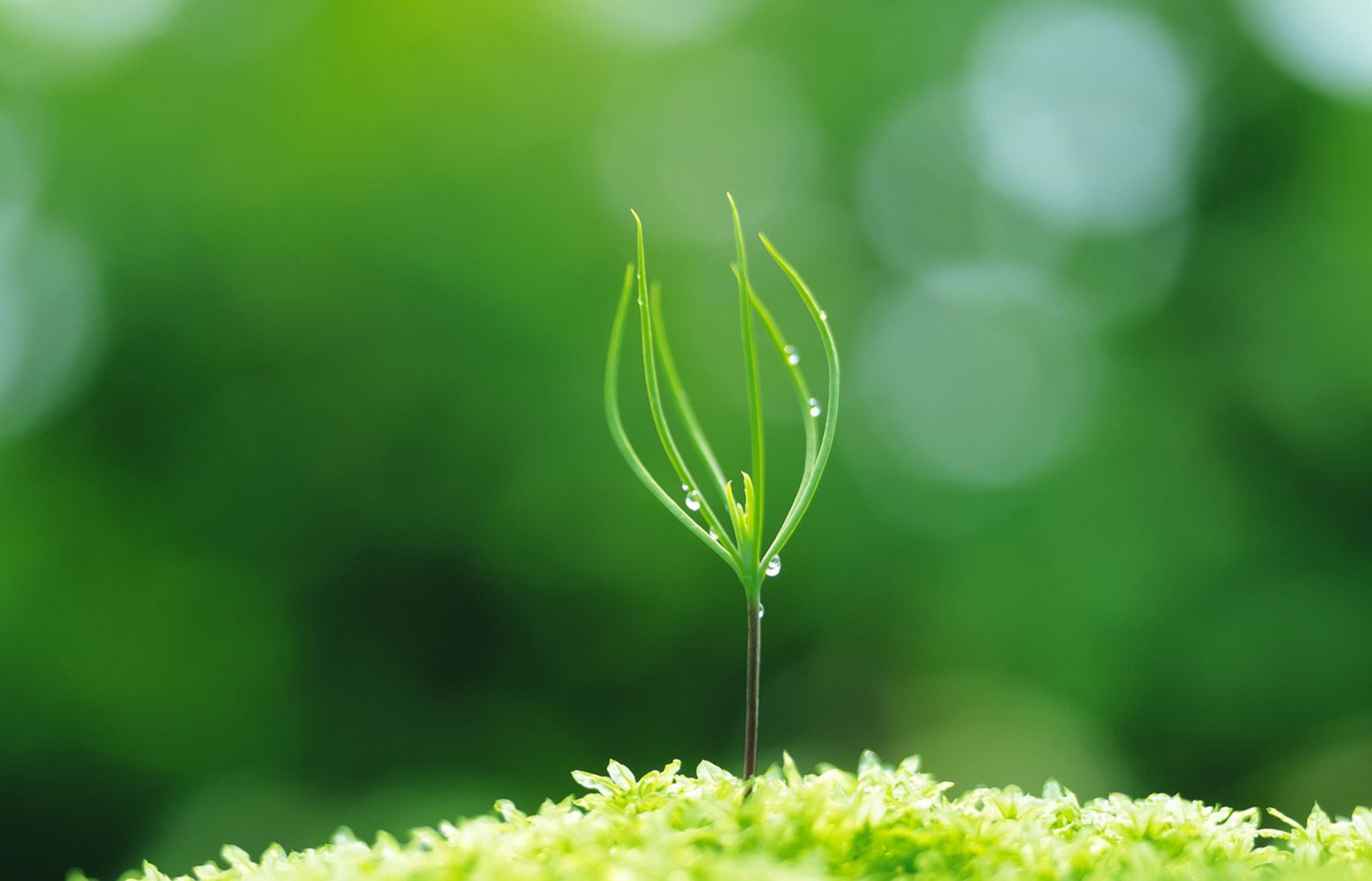 愿你每次仰望天空的时候,看到的都是光亮与希望. 各位,早上好![心]