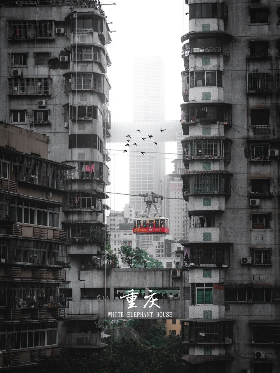 2021年的重庆 | 关于山城的top9图片 333734 35373435