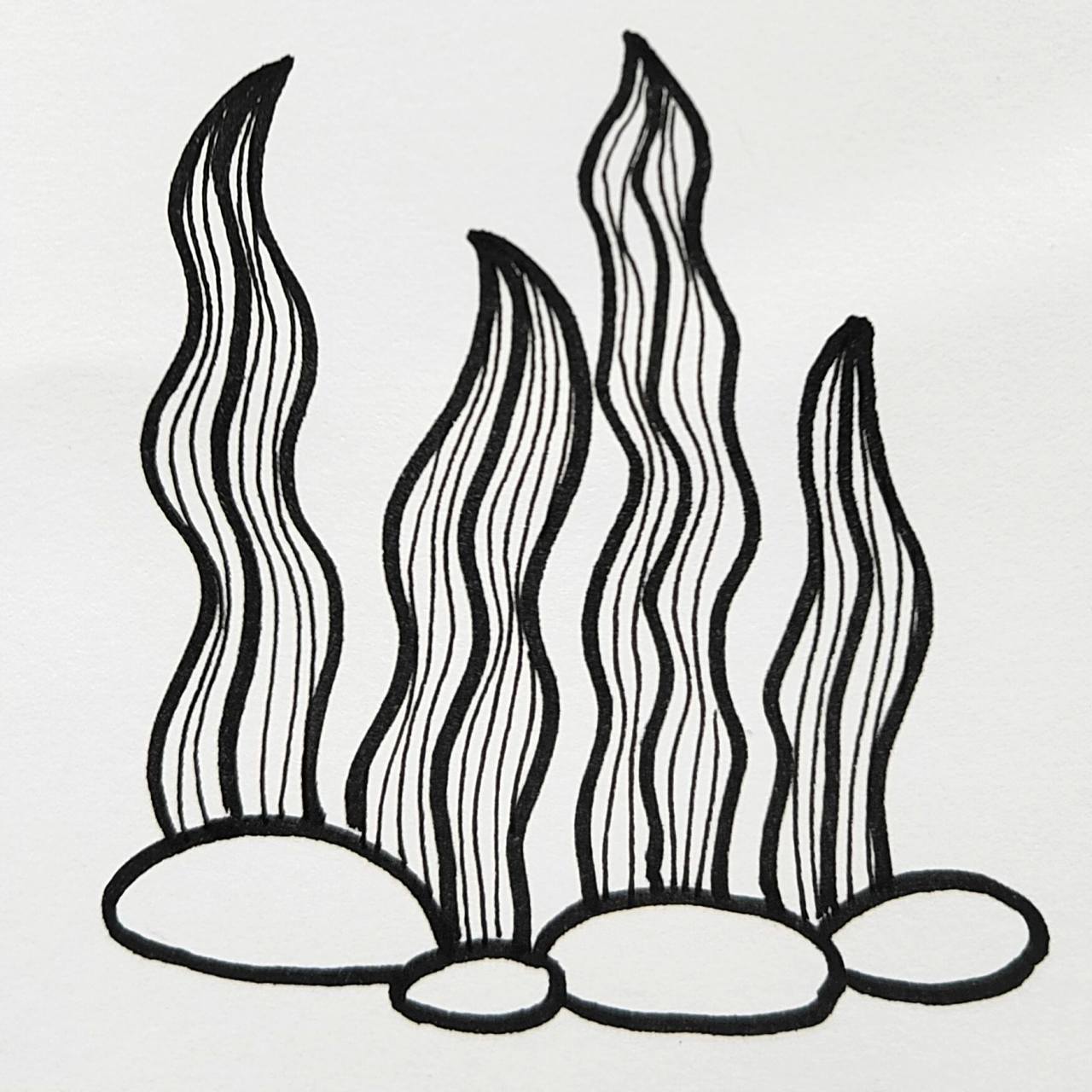 海底世界 海草素材 海草简笔画