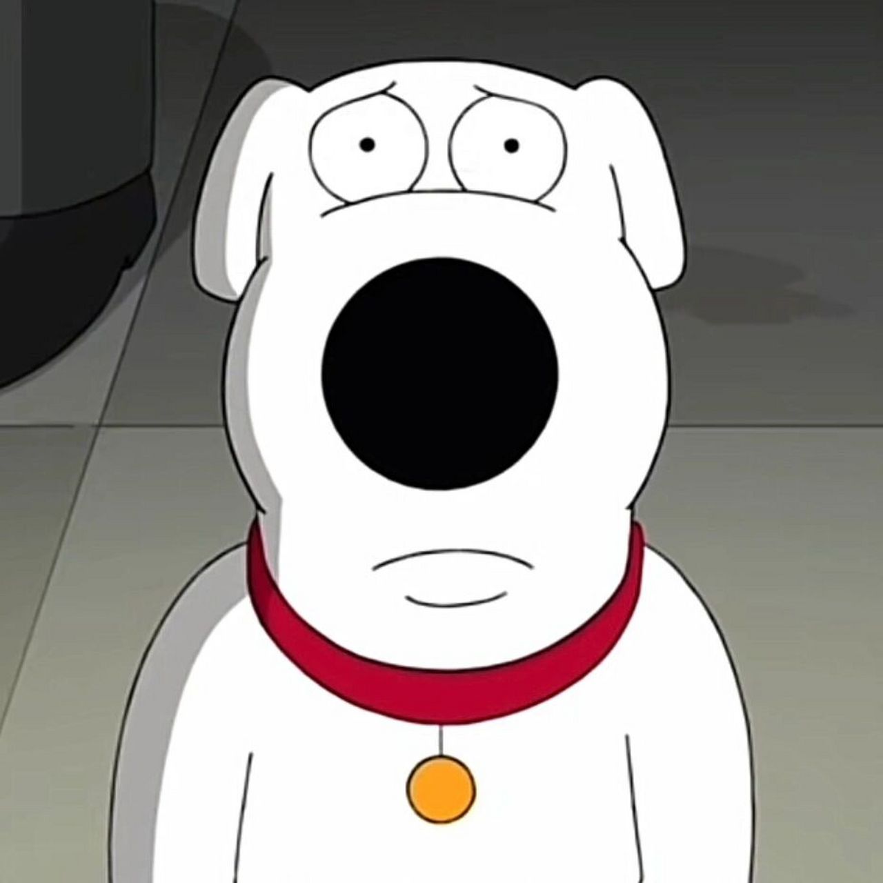 恶搞之家family guy头像 brian篇 its brian griffin, obviously