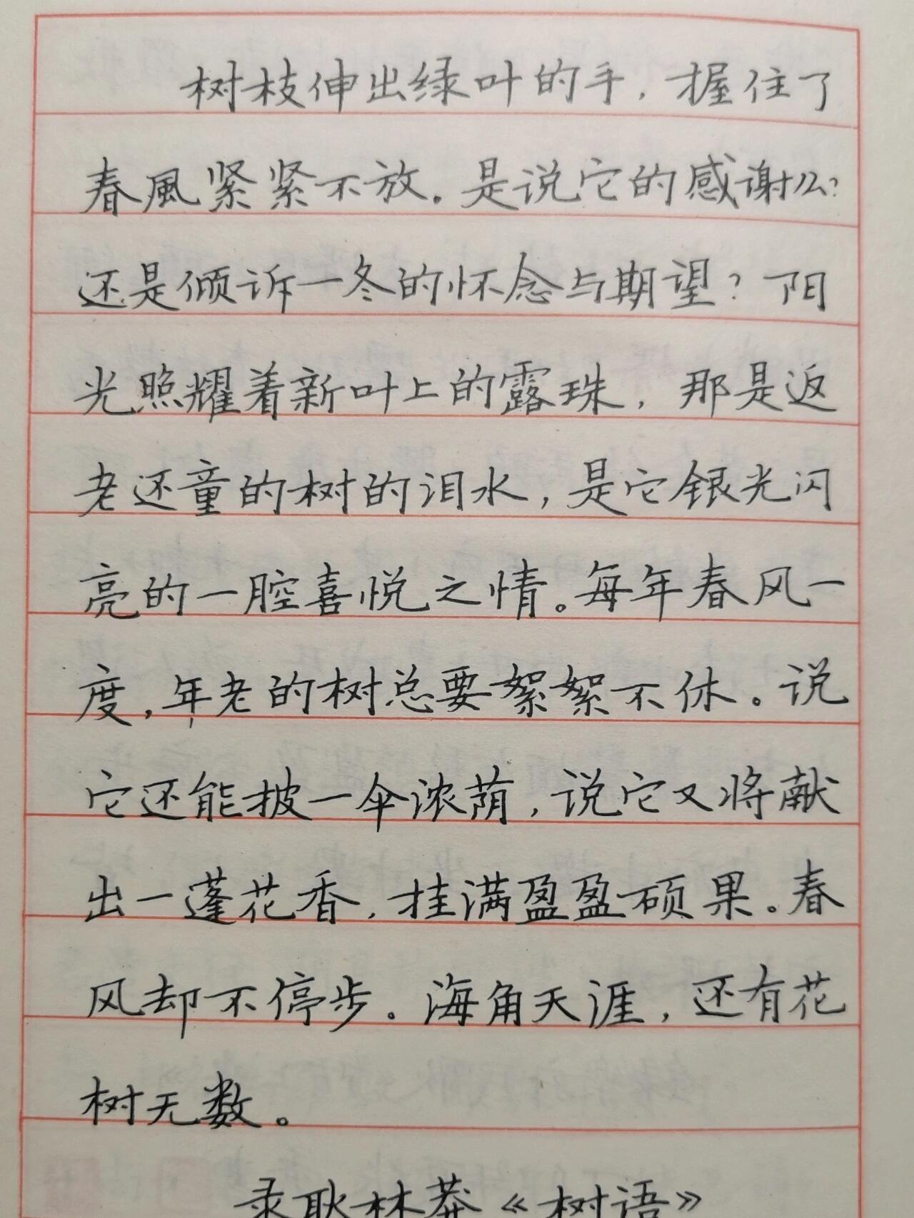 张秀硬笔书法