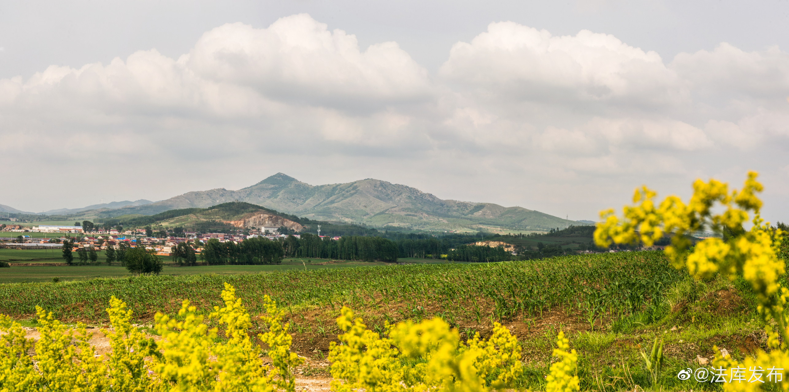 【一年四季美丽的巴尔虎山】#发现沈阳之美##美好辽宁欢迎您##网红