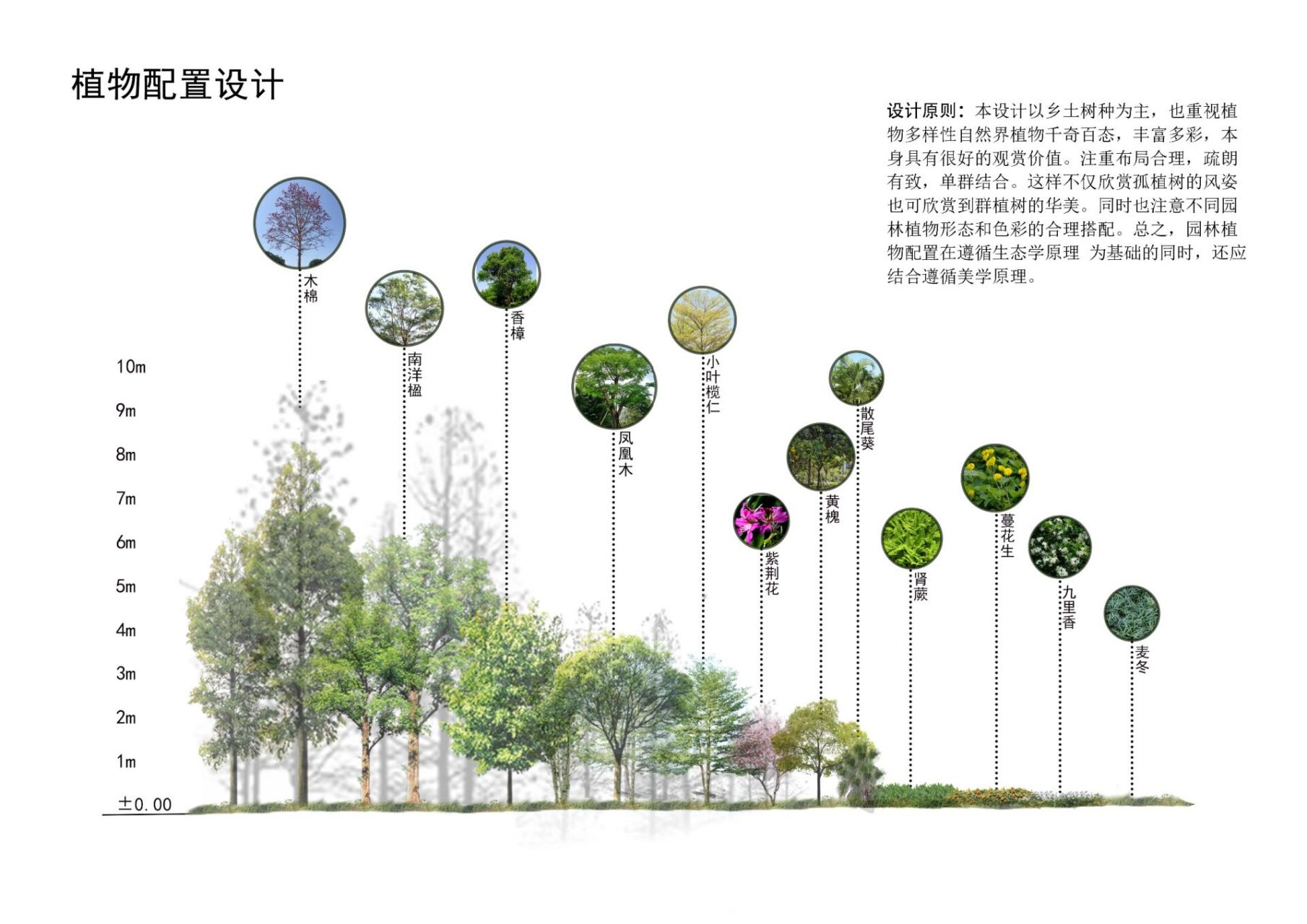 分层分析图和植物配置图 分享两张简单的景观专业的分析图 	 分层分析