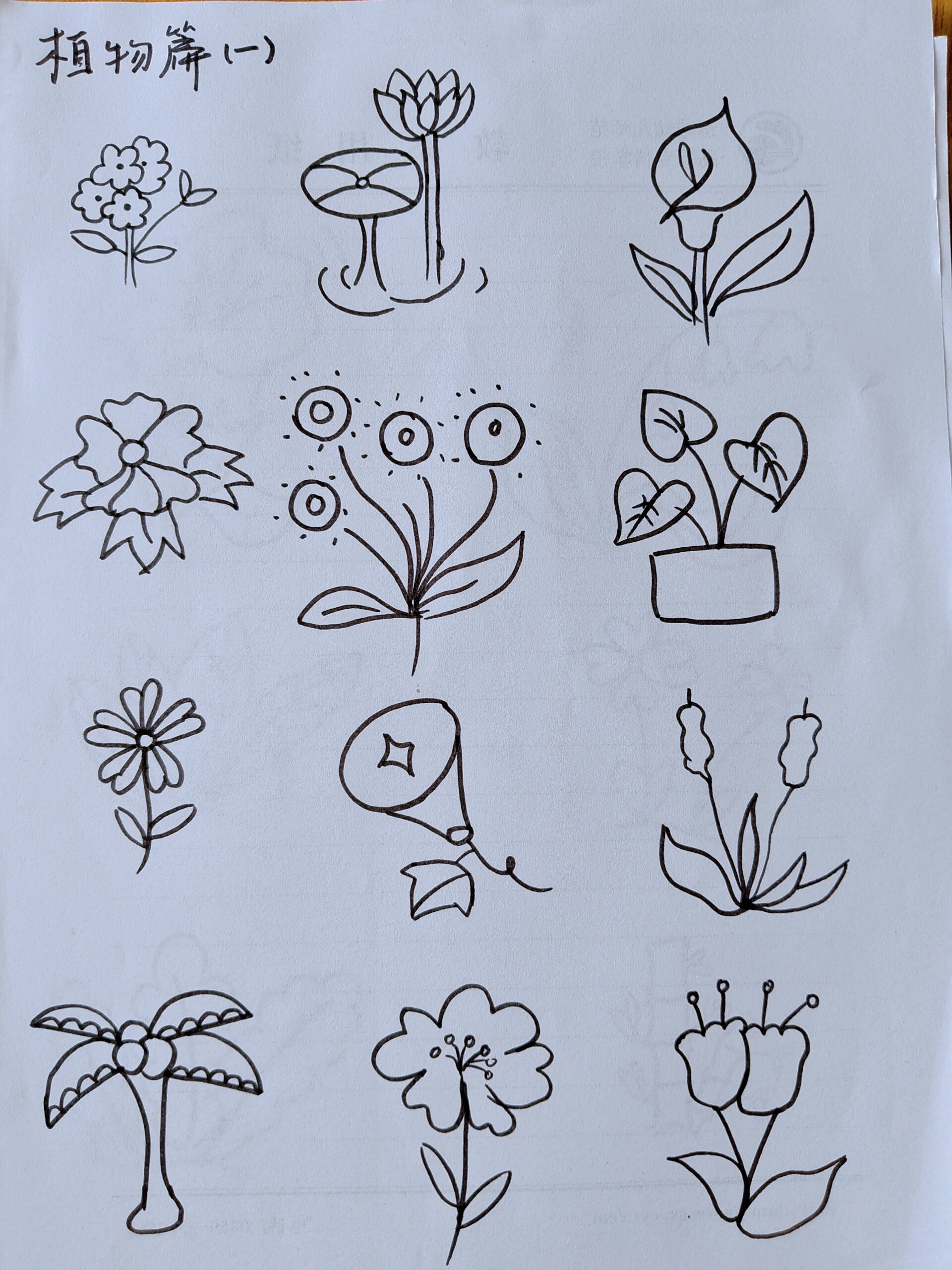 儿童简笔画 植物篇