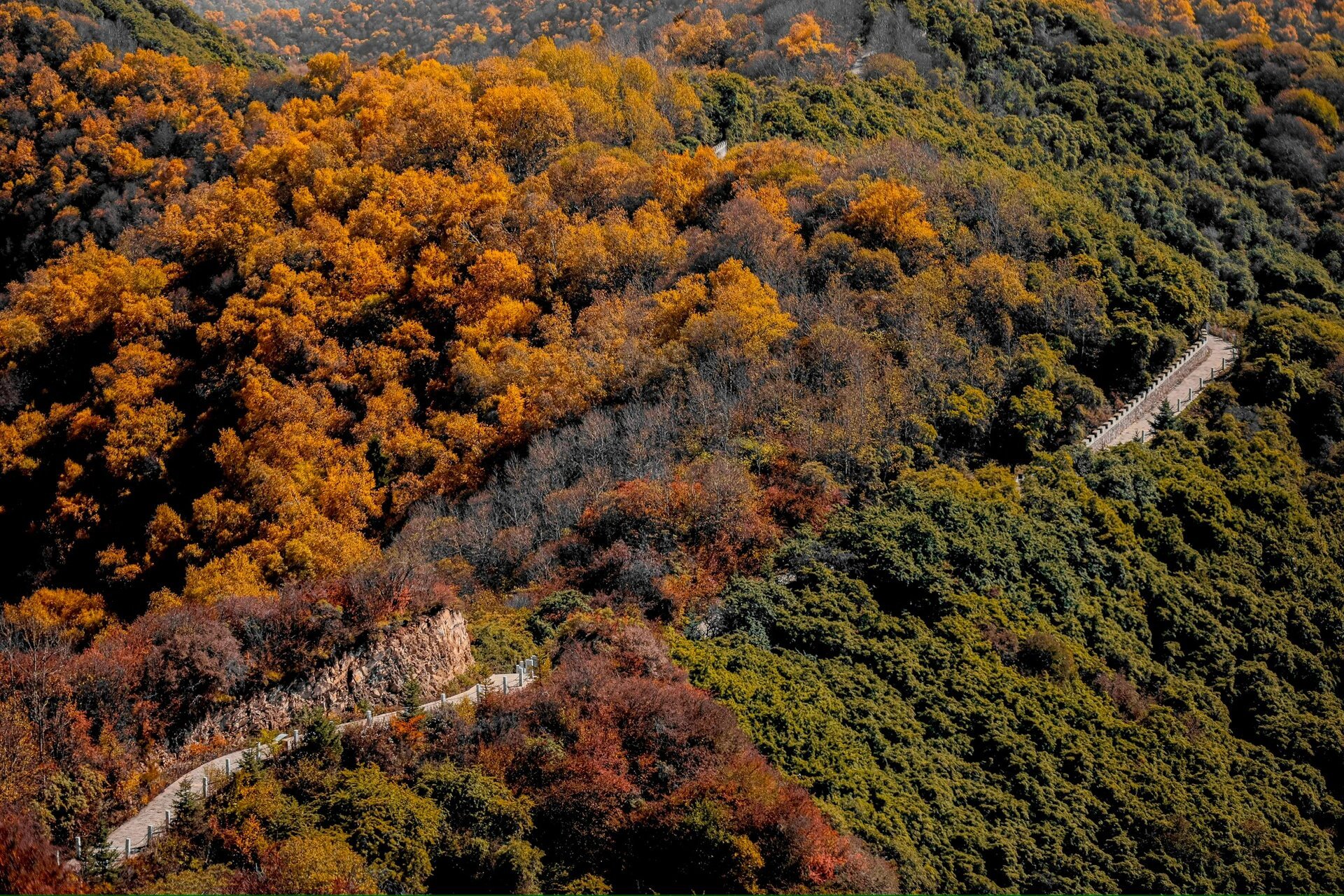 带你看北国的秋-兰州云顶山 周末天气真的巨好无比,爬山的人也很多,北