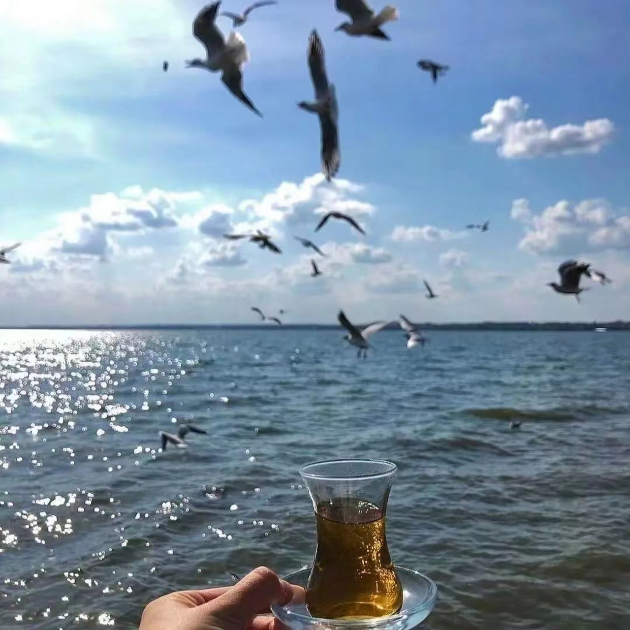 易经认为最好的微信头像 积极向上正能量头像97 希望带给大家好运