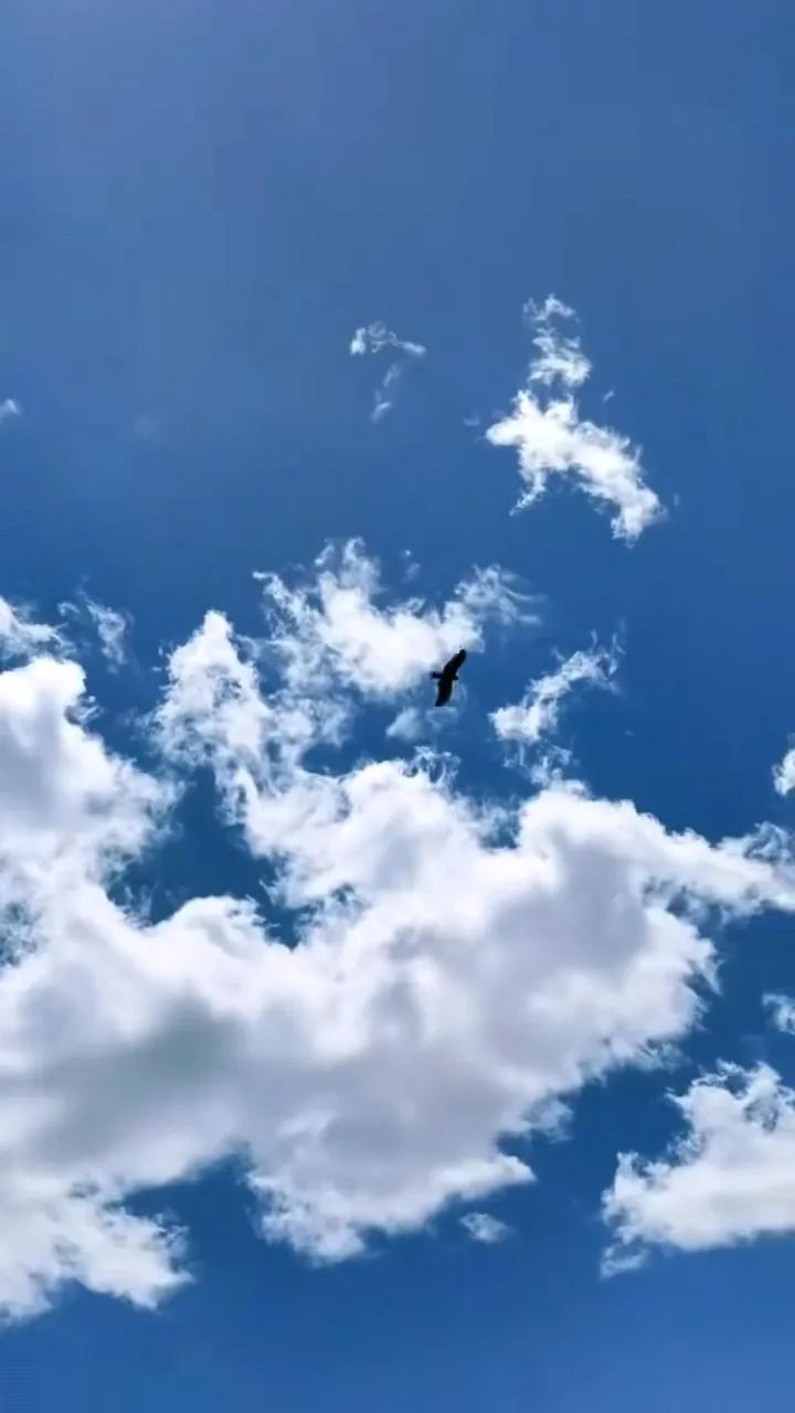 首先,李白的《将进酒》:"天生我材必有用,千金散尽还复来