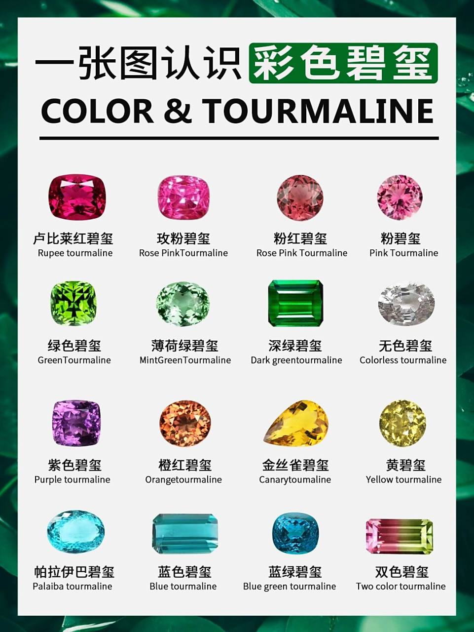 3分钟认识碧玺|不买也要收藏起来6015 碧玺的颜色是彩宝里最丰富