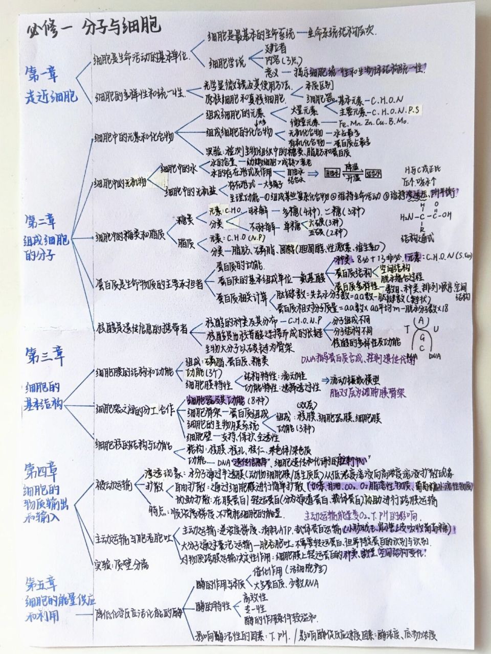 生物必修一  第一章-第五章思维导图     是学校老师奇怪的作业
