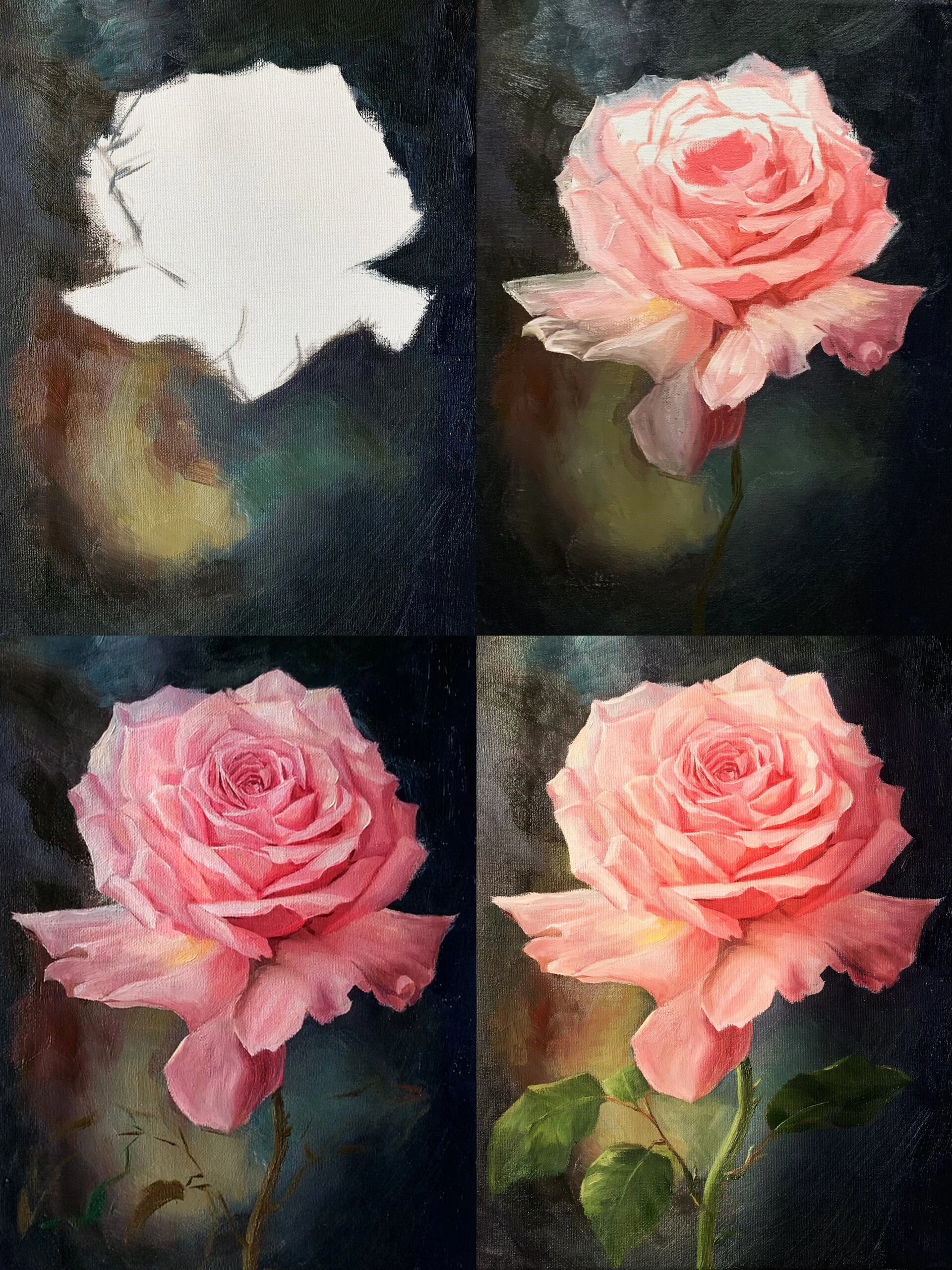 零基础学油画《玫瑰》绘画步骤