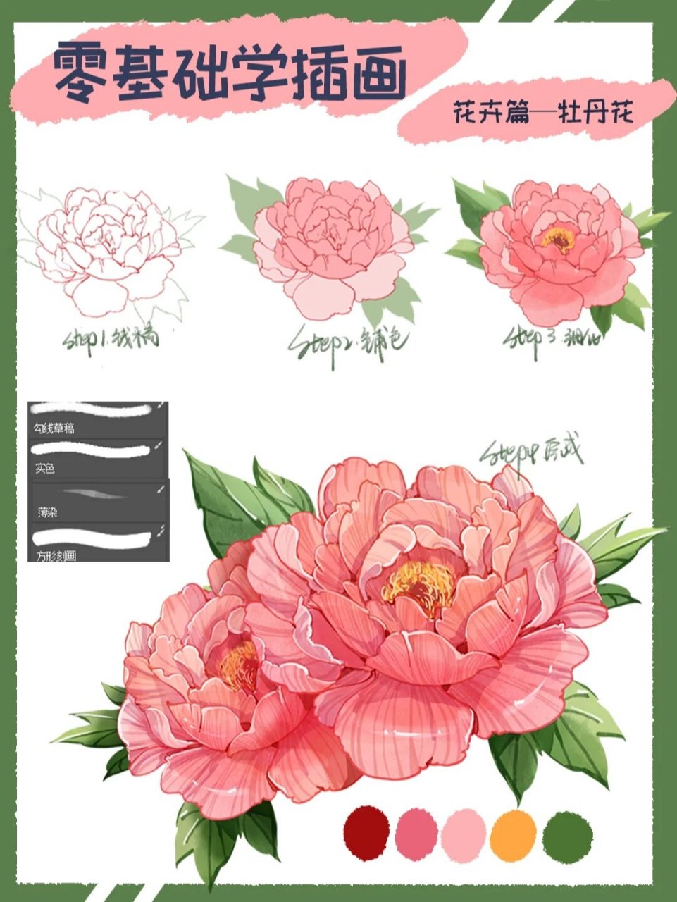 插画分解教程之牡丹花画法(附笔刷)~ 工具:电脑77手绘板 软件:ps