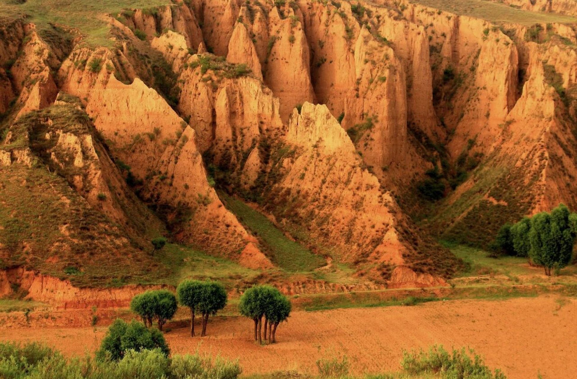 麻黄梁:黄土高原与毛乌素沙漠的奇观 麻黄梁黄土地质公园总面积37平方