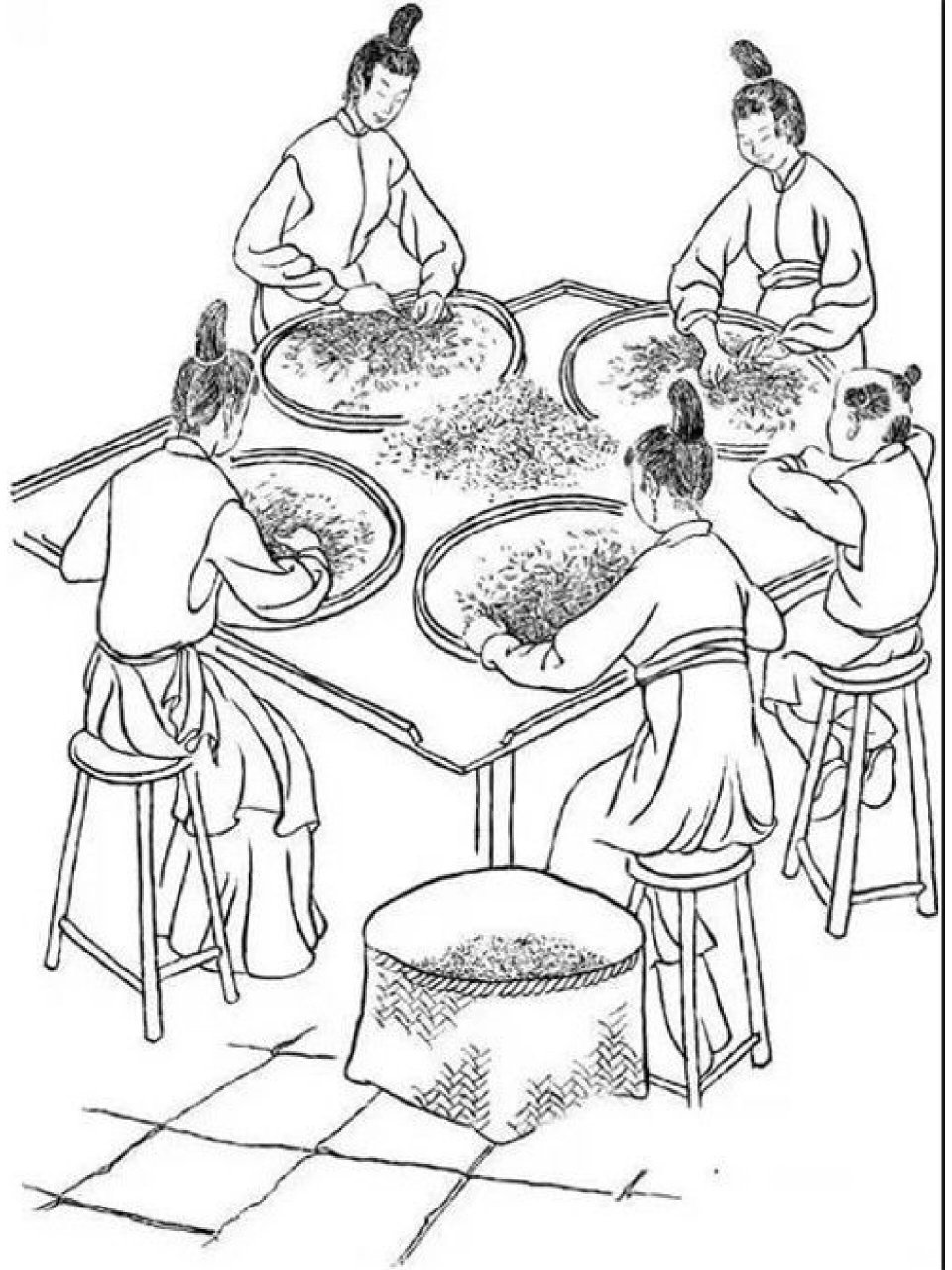 茶叶从采摘到制成的过程   采茶 茶是采摘茶树的