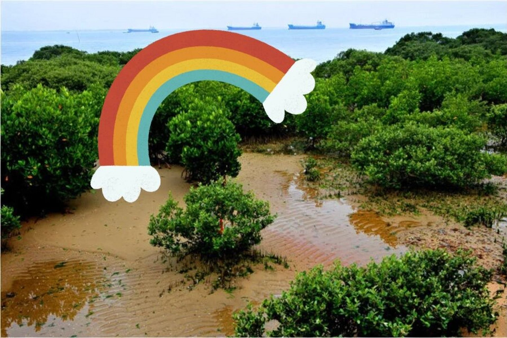 特呈岛不一样的旅游攻略 首先我觉得特呈岛适合多人一起去玩,而且整个