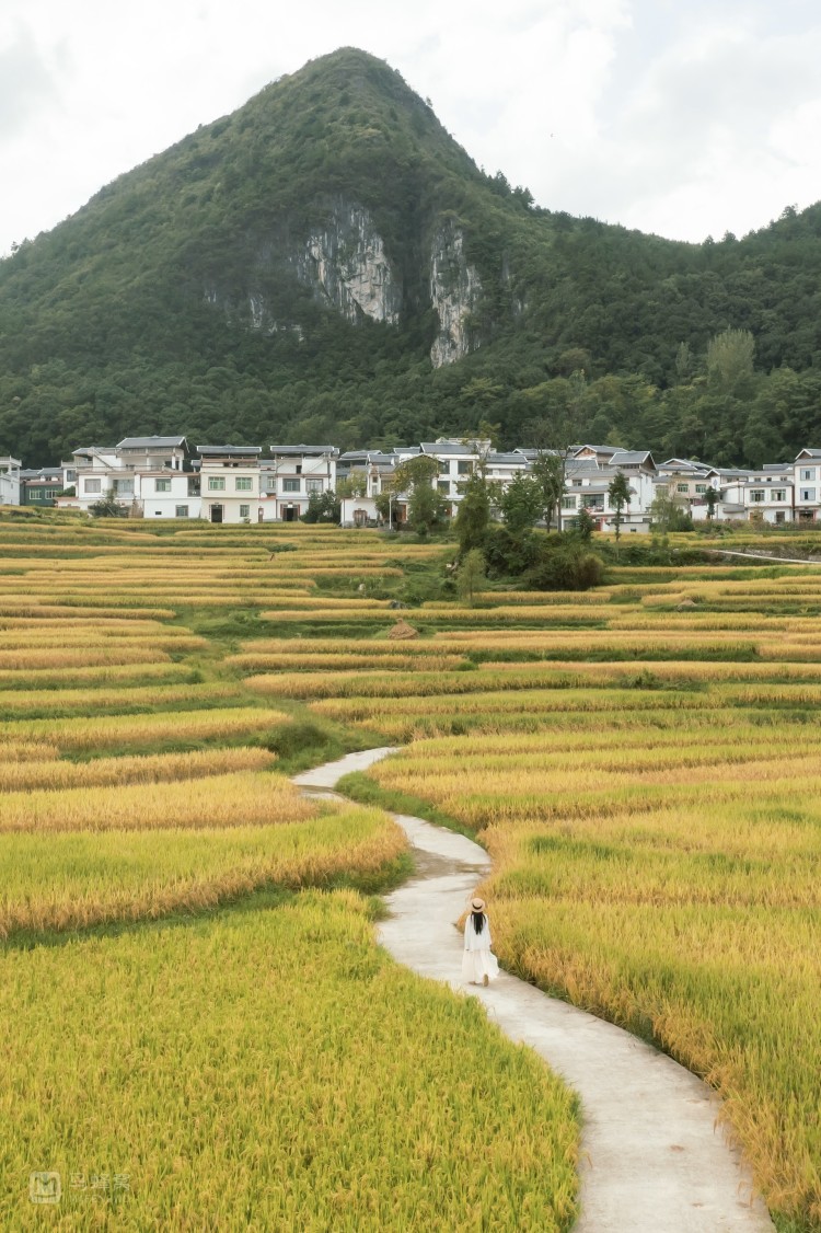 南丹巴平梯田观景点图片