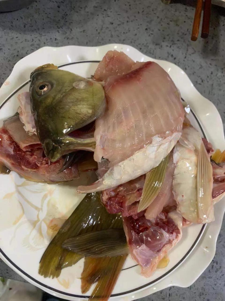 横县鱼生 崇左鱼生 鱼生去红   鱼生的历史非常悠久了.