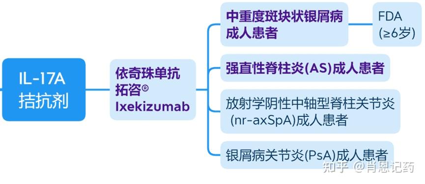 白介素17拮抗剂图片